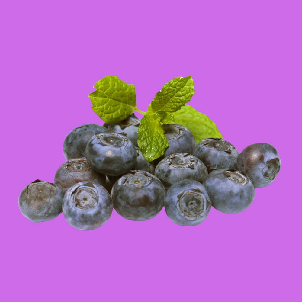 Dried Blueberries Whole